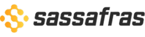 Company Logo Colorful
