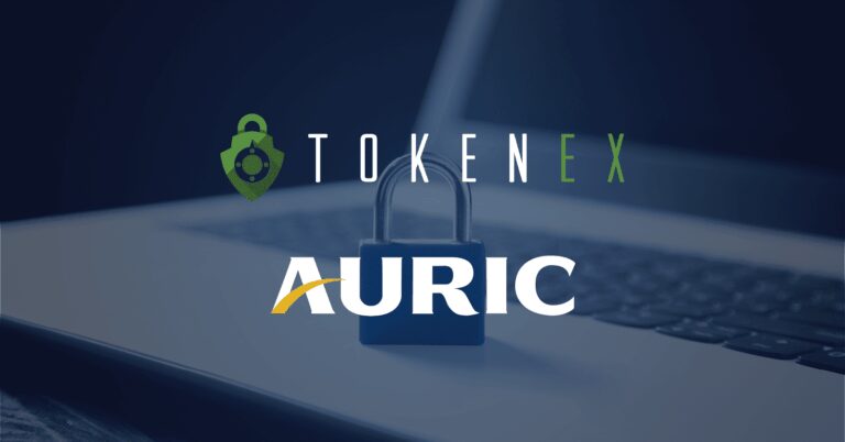 Payment Security Provider TokenEx Diversifies Customer Base with Acquisition of Cloud Vaulting Service